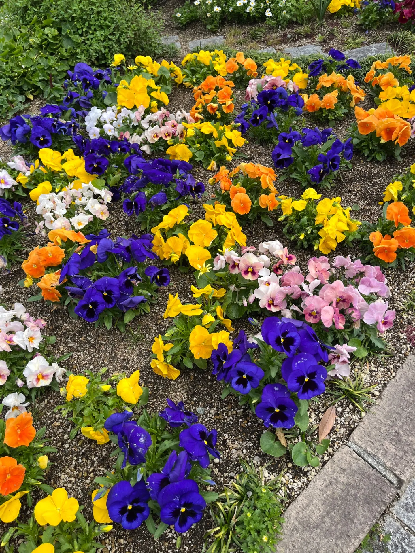 【 お知らせ 】GW中の営業について