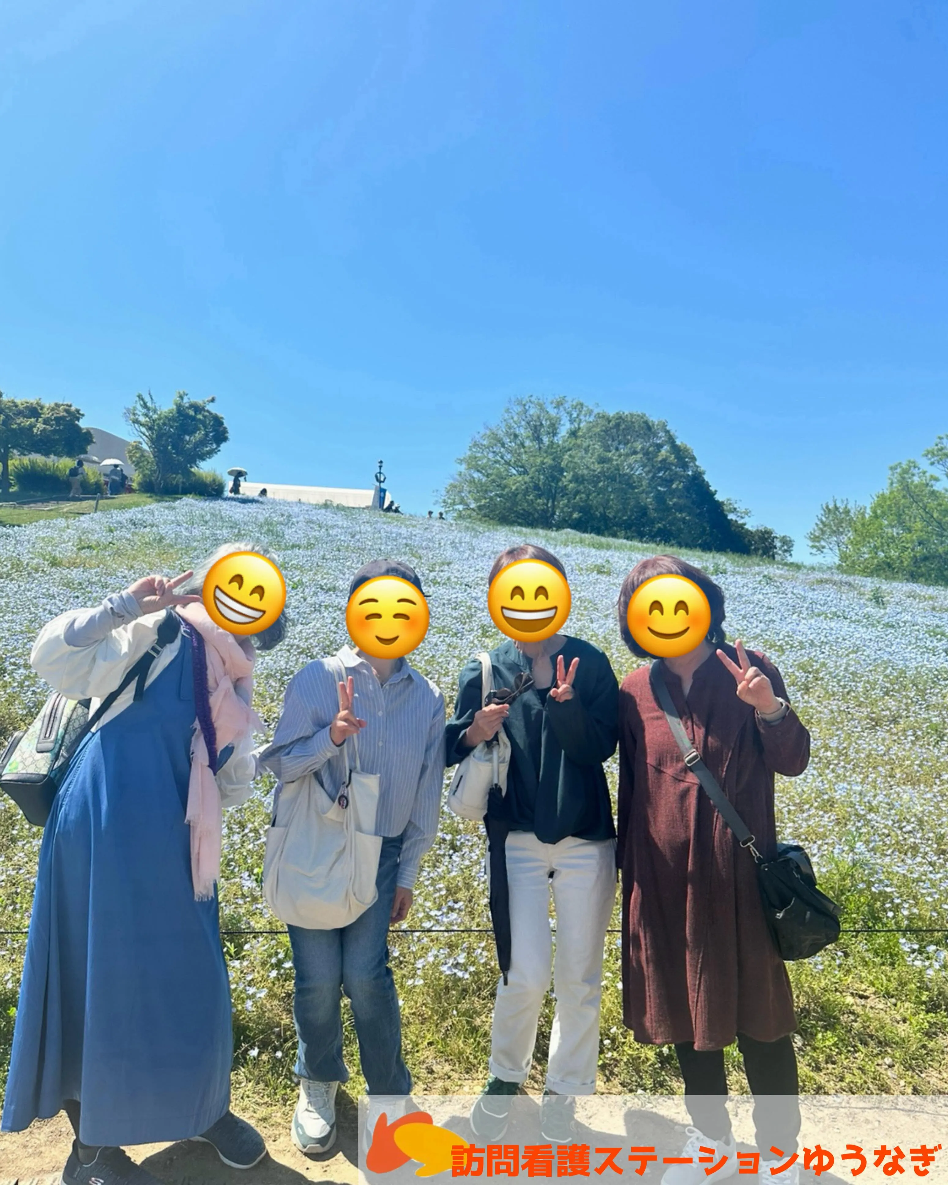 こんにちは(^^)訪問看護ステーションゆうなぎです🌼